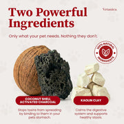 Pawmergency – Activated Charcoal First Aid Kit Emergency Rescue for Dogs, Cats, Puppy & Pet Poison Kit, Camping Survival Remedy Essential,Oral anti Diarrhea Digestive Paste Ready Absorb Toxins